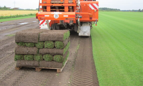 Fertig für den Kunden - Fertig für Ihren Garten Fertig für den Kunden - Fertig für Ihren Garten